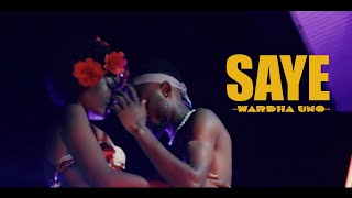 WARDHA Uno  SAYE Official4k video [upl. by Amsed894]