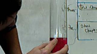 How to Correctly Read a Graduated Cylinder [upl. by Bozuwa]