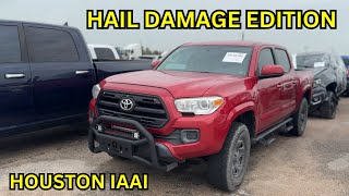 HOUSTON IAAI WALKAROUND HAIL DAMAGE EDITION [upl. by Ahsinod]