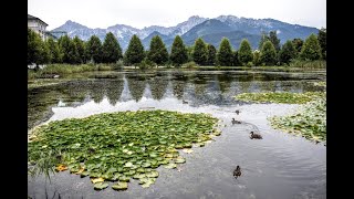 Stift Admont Styria Steiermark Austria Österreich [upl. by Freberg]