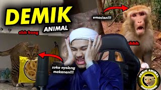 NONTON INI DIJAMIN SEMANGAT TERUS PUASANYA🗿🗿🗿Reaction Demik Animal [upl. by Aan457]