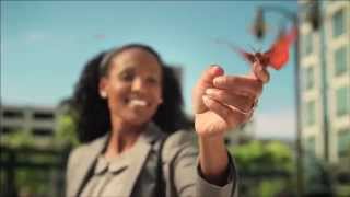 ING Voya Financial National Butterfly Commercial [upl. by Nwahshar]