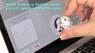 Learn to Code Getting started with OzoBlockly and Ozobot Bit robot [upl. by Reivaz]