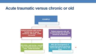 2023 icd 10cm coding guidelines for chapter 13 [upl. by Diego]