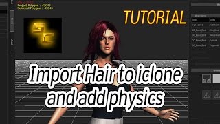 Hair import for iClone 6 with physics  Import tutorial [upl. by Sanferd143]