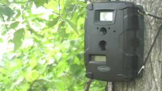 Moultrie GameSpy Trail Camera [upl. by Ulysses]