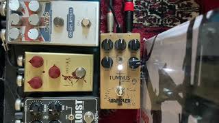 Wampler Tumnus Deluxe VS J Rockett Archer Ikon [upl. by Attenhoj]