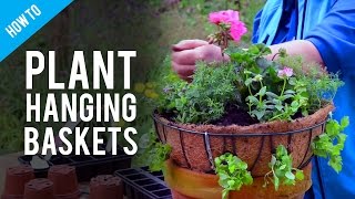 A Guide To Hanging Basket Plants amp Flowers [upl. by Eecal484]