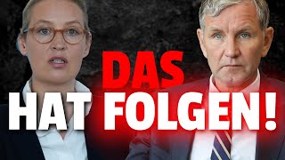 💥HEFTIGE Folgen für AfD Freie Wähler will Mandat ABGEBEN [upl. by Blaze]