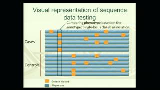 MPG Primer Analytic Issues Associated with Rare Variant Testing 2012 [upl. by Enilec986]