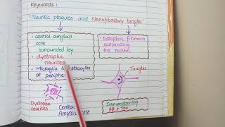 Alzheimers Disease Pathology  Amyloid beta and Tau  Morphology [upl. by Laeynad]