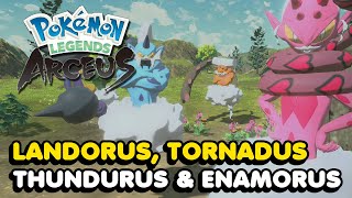 How To Get Enamorus Thundurus Tornadus amp Landorus In Pokemon Legends Arceus Locations [upl. by Elvera]