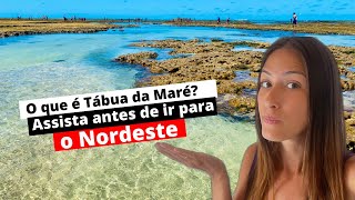 TÁBUA DA MARÉ ou TÁBUA DE MARÉ TUDO O QUE VOCÊ PRECISA SABER ANTES DE VIAJAR PARA O NORDESTE [upl. by Iaht]