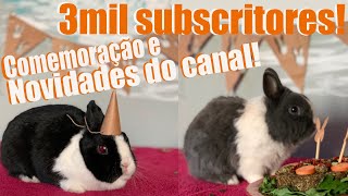 COMO FAZER DECORAÇÕES DE ANIVERSÁRIO PARA COELHOS  3000 SUBSCRITORESNOVIDADES DO CANAL🎉 [upl. by Walter]