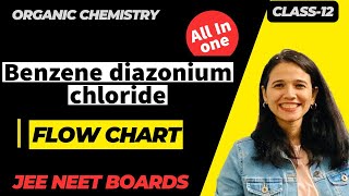 Benzene diazonium chloride Flow Chart class 12th Organic chemistry [upl. by Hayarahs254]