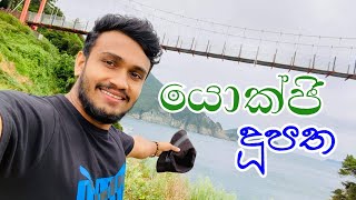 කොරියාවේ ලස්සනම තැන්🥰 Amazing Bridge in south koreyokji southkorea පාලම [upl. by Neelhtac]