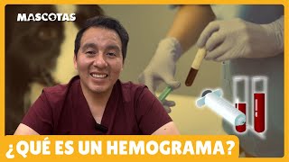 EL HEMOGRAMA ES CLAVE PARA DETECTAR ENFERMEDADES [upl. by Orest]