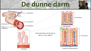 Hoe verbrandt je lichaam vet het proces van gewichtsverlies afvallen gezondheid [upl. by Ailahtan75]