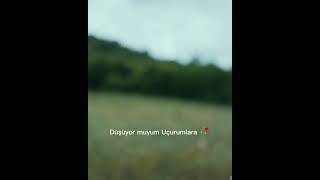 Bahar Yavuz Uçurum featshorts keşfetedüşürbeni youtubeshorts [upl. by Ecela335]