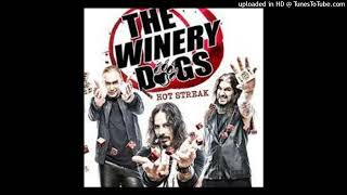 The Winery Dogs  Fire [upl. by Euqilegna39]