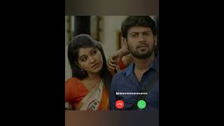 Saravanan Meenatchi title song vijay tv serial [upl. by Ynotna]