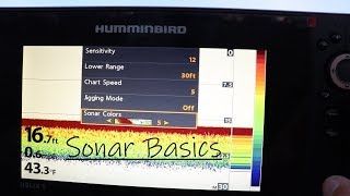 Complete Guide to Fishing Electronics How to Read Fish Finder [upl. by Lehman507]