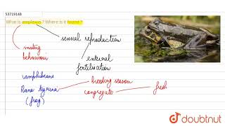 What is amplexus  Where is it found   11  STRUCTURAL ORGANIZATION IN ANIMALS  BIOLOGY  PRA [upl. by Yrrehc157]