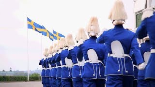 Swedish Military Parade [upl. by Gnak582]