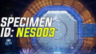 Destiny 2 Specimen ID NES003 Guide Episode Echoes [upl. by Kired]