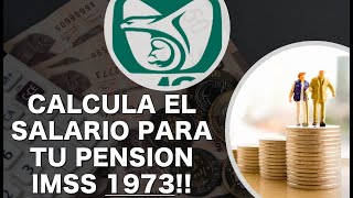 CALCULO DEL SALARIO PROMEDIO PARA TU PENSIÓN QUE NO TE ENGAÑEN [upl. by Hazaki]