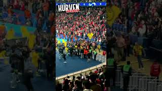 Dortmunder Ultras stürmen den Innenraum BVB im ChampionsLeagueFinale shorts [upl. by Yrolg]