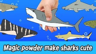 EN Magic powder make sharks cute animals names for kids coco animal animation collectaㅣCoCosToy [upl. by Hudnut]