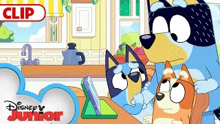 Bluey Season 3 Episode 24 quotFaceytalkquot Episode Clip  disneyjr  BlueyOfficialChannel​ [upl. by Nonnaehr496]