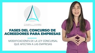 ⚖️ Fases del Concurso de Acreedores para Empresas ➤ Aplicación de la Ley Concursal a Empresas [upl. by Charlotte]