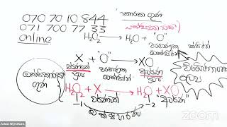 Day47 H2O2 සම්බන්ධ බහුවරණ [upl. by Gwenora356]