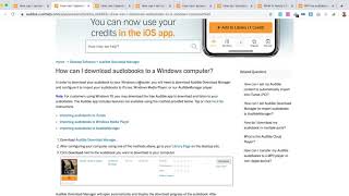 Audible Download Manager Overview [upl. by Odo]