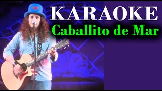 Charly Abrego  quotCaballito de Marquot  KARAOKE Éxito de Lazcano Malo [upl. by Jasisa494]