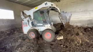 AWESOME BOBCAT Skid steer loader working NICE Operator  BOBCAT S175 [upl. by Reo]