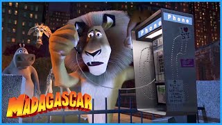 DreamWorks Madagascar  Who is Who 🦓  Madagascar Escape 2 Africa Movie [upl. by Ledda295]