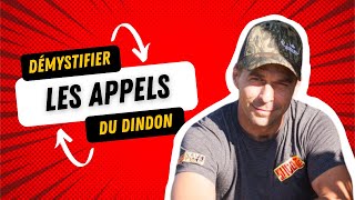 Démystifier les appels du dindon sauvage avec Nicolas Baillargeon [upl. by Schofield491]