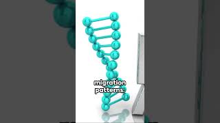 Unraveling the Secrets of Human Mitochondrial DNA [upl. by Rodman829]