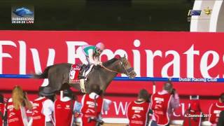 Dubai World Cup 2017  ARROGATE  All the details [upl. by Lain31]