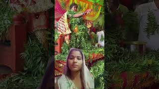 नेमकरौली मैयाvideo funny [upl. by Suciram]