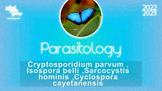 Cryptosporidium Isosporacyclosporaamp Sarcocystis  Parasitology [upl. by Blake]