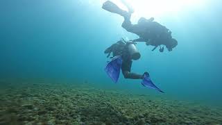 Mergulho Incrível em Fernando de Noronha  Explorando o Paraíso Arraia Moreia e Peixes [upl. by Halihs]