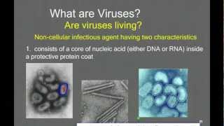 Introduction to Viruses and Viral Replication [upl. by Ruperto]