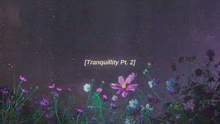 Tranquillity Pt 2 slowed  reverb [upl. by Nelly70]