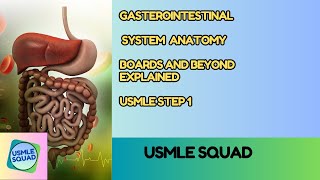 Gastrointestinal System  GIT ANATOMY  Boards and Beyond Explanation  USMLE STEP 1  Usmle [upl. by Siro530]