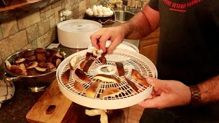 Testing the Cheapest food dehydrator on Amazonlets try mushrooms [upl. by Casey]