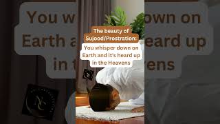 Beauty of Sujood sujud sujood pray prostration islam muslim [upl. by Ahsie]